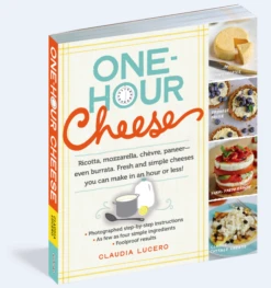 One Hour Cheese By Claudia Lucero