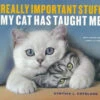Really Important Stuff My Cat Has Taught Me