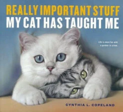 Really Important Stuff My Cat Has Taught Me