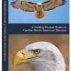 Birds Of Prey Pocket Guide