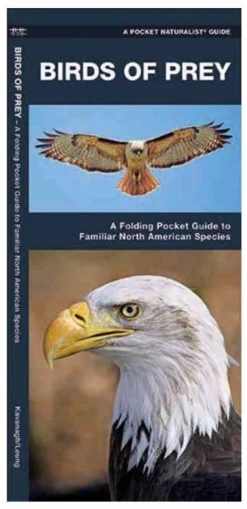 Birds Of Prey Pocket Guide