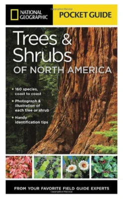 National Geographic - Pocket Guide To Trees & Shrubs Of North America