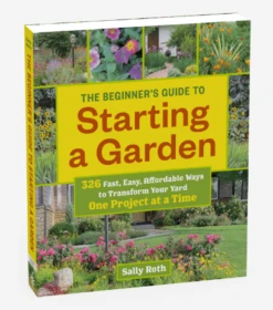 The Beginner's Guide To Starting A Garden