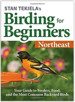 Birding For Beginners: Northeast