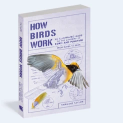 How Birds Work By Marianne Taylor