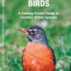 Waterford Press - Eastern Backyard Bird Pocket Guide