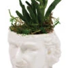 Unemployed Philosophers Guild - Albert Einstein Planter