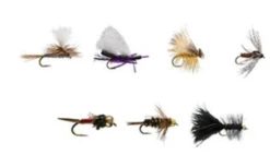 Rio Basic Trout Assortment