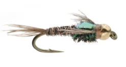 Umpqua: Flashback Pheasant Tail Gold Bead