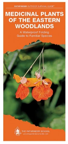 Medicinal Plants Of The Eastern Woodlands