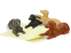 Fred - Fridge Magnets