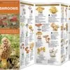 Waterford Press - Mushroom Pocket Guide