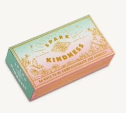 Chronicle Books Spark -BIG BEAR GEAR SHOP kindness